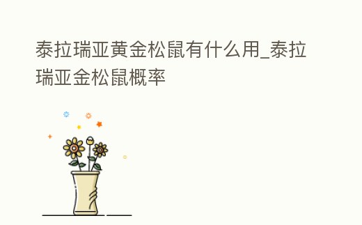 泰拉瑞亞黃金松鼠有什么用_泰拉瑞亞金松鼠概率