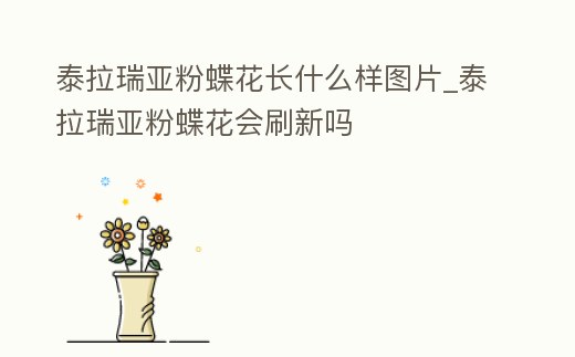 泰拉瑞亞粉蝶花長什么樣圖片_泰拉瑞亞粉蝶花會刷新嗎
