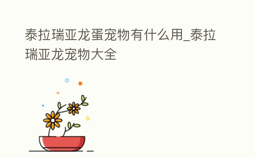 泰拉瑞亞龍蛋寵物有什么用_泰拉瑞亞龍寵物大全