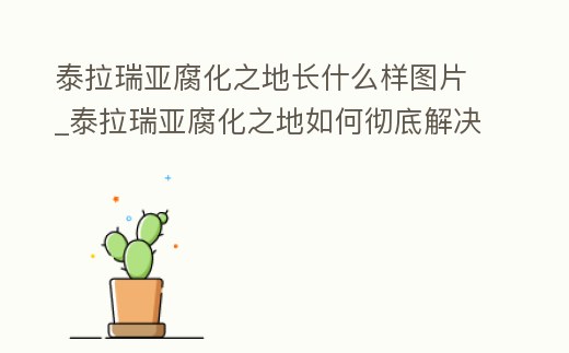 泰拉瑞亞腐化之地長什么樣圖片_泰拉瑞亞腐化之地如何徹底解決
