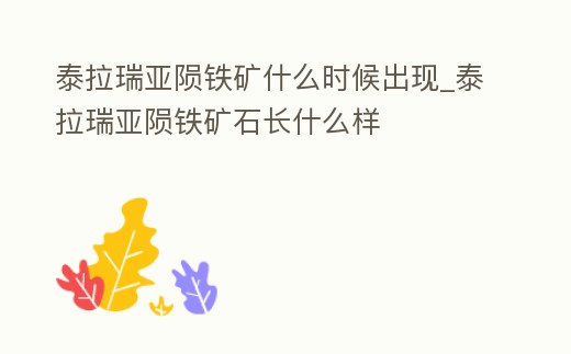 泰拉瑞亞隕鐵礦什么時候出現_泰拉瑞亞隕鐵礦石長什么樣