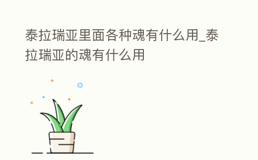 泰拉瑞亞里面各種魂有什么用_泰拉瑞亞的魂有什么用
