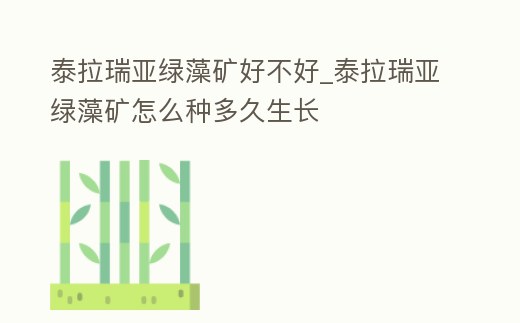 泰拉瑞亞綠藻礦好不好_泰拉瑞亞綠藻礦怎么種多久生長