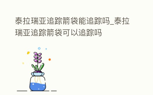 泰拉瑞亞追蹤箭袋能追蹤嗎_泰拉瑞亞追蹤箭袋可以追蹤嗎