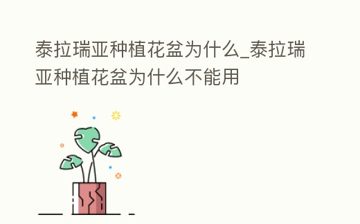 泰拉瑞亞種植花盆為什么_泰拉瑞亞種植花盆為什么不能用