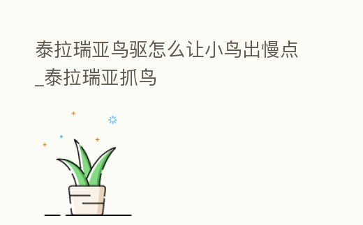 泰拉瑞亞鳥驅怎么讓小鳥出慢點_泰拉瑞亞抓鳥