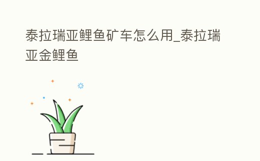 泰拉瑞亞鯉魚礦車怎么用_泰拉瑞亞金鯉魚