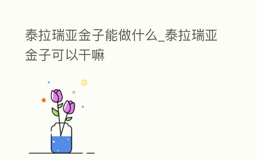 泰拉瑞亞金子能做什么_泰拉瑞亞金子可以干嘛