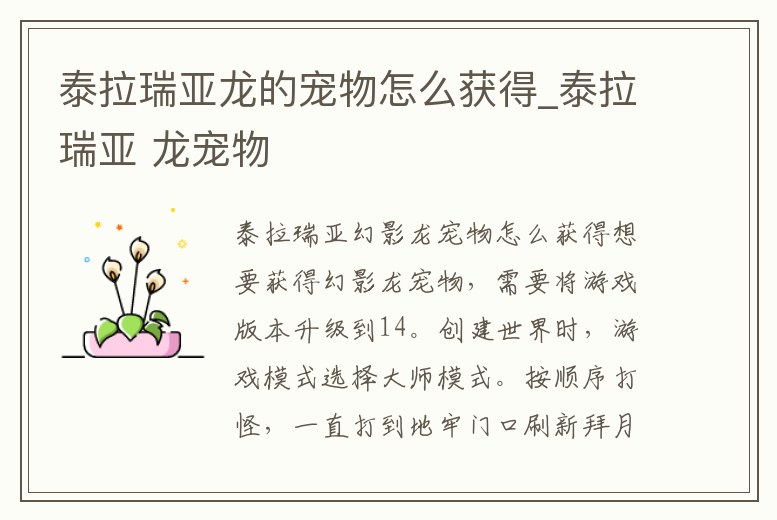 泰拉瑞亞龍的寵物怎么獲得_泰拉瑞亞 龍寵物