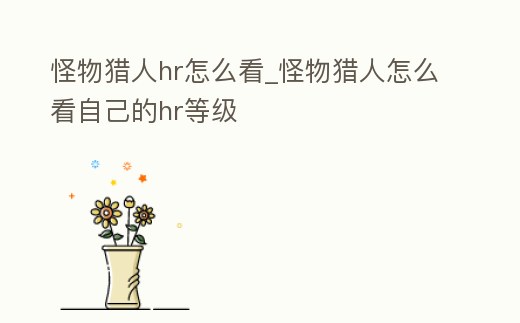 怪物獵人hr怎么看_怪物獵人怎么看自己的hr等級