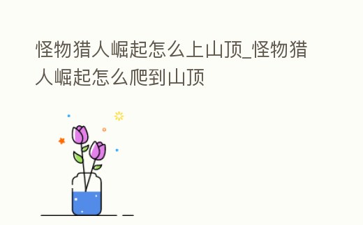 怪物獵人崛起怎么上山頂_怪物獵人崛起怎么爬到山頂