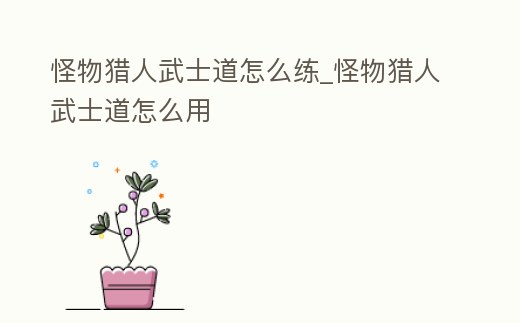 怪物獵人武士道怎么練_怪物獵人武士道怎么用