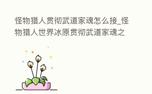 怪物獵人貫徹武道家魂怎么接_怪物獵人世界冰原貫徹武道家魂之后怎么出任務