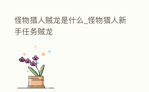 怪物獵人賊龍是什么_怪物獵人新手任務(wù)賊龍