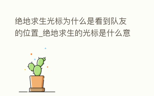 絕地求生光標(biāo)為什么是看到隊(duì)友的位置_絕地求生的光標(biāo)是什么意思