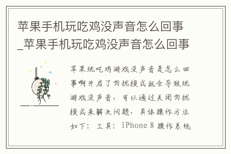 蘋果手機玩吃雞沒聲音怎么回事_蘋果手機玩吃雞沒聲音怎么回事兒