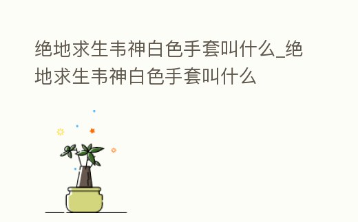 絕地求生韋神白色手套叫什么_絕地求生韋神白色手套叫什么