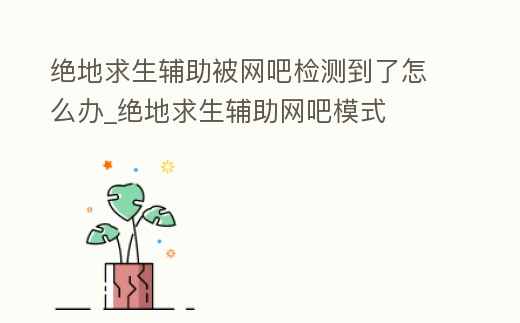 絕地求生輔助被網吧檢測到了怎么辦_絕地求生輔助網吧模式