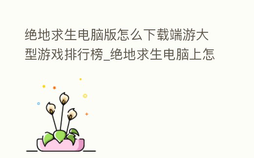 絕地求生電腦版怎么下載端游大型游戲排行榜_絕地求生電腦上怎么下