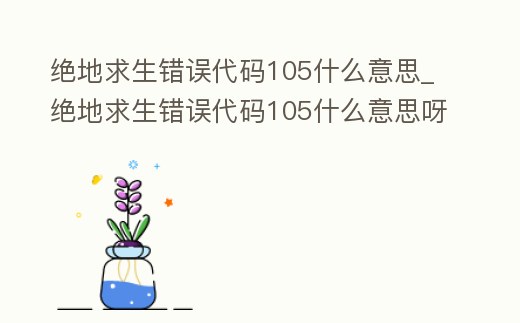 絕地求生錯(cuò)誤代碼105什么意思_絕地求生錯(cuò)誤代碼105什么意思呀