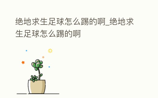 絕地求生足球怎么踢的啊_絕地求生足球怎么踢的啊