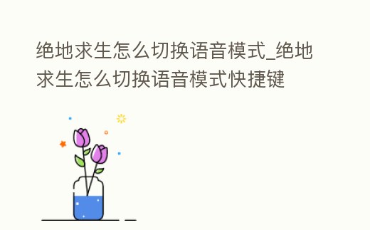 絕地求生怎么切換語音模式_絕地求生怎么切換語音模式快捷鍵