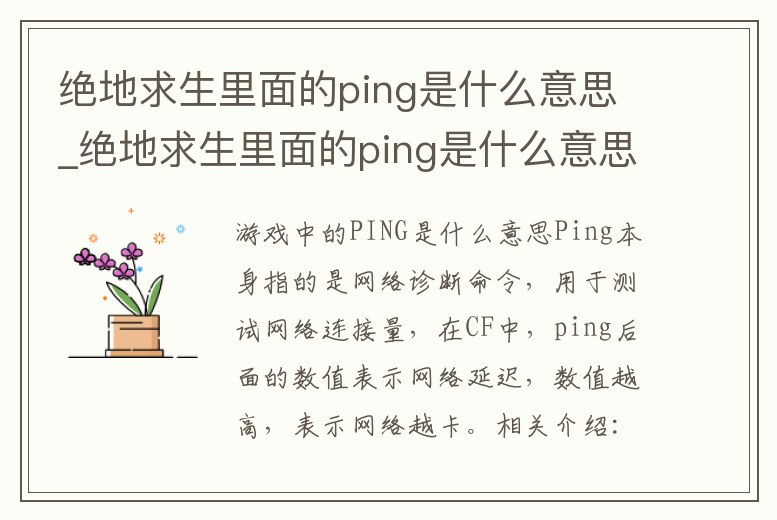 絕地求生里面的ping是什么意思_絕地求生里面的ping是什么意思呀