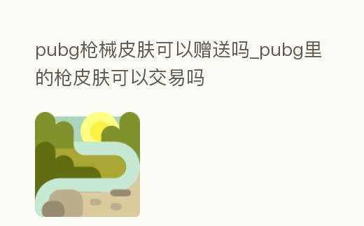 pubg槍械皮膚可以贈送嗎_pubg里的槍皮膚可以交易嗎