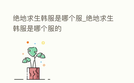 絕地求生韓服是哪個服_絕地求生韓服是哪個服的