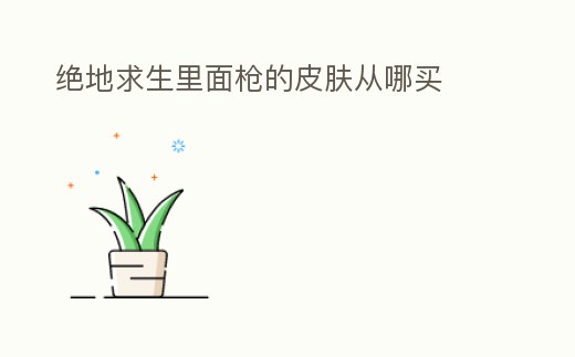 絕地求生里面槍的皮膚從哪買(mǎi)