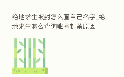 絕地求生被封怎么查自己名字_絕地求生怎么查詢賬號封禁原因