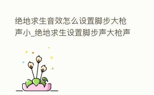 絕地求生音效怎么設置腳步大槍聲小_絕地求生設置腳步聲大槍聲小