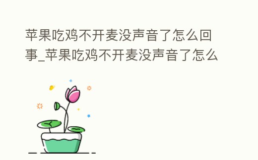 蘋果吃雞不開麥沒聲音了怎么回事_蘋果吃雞不開麥沒聲音了怎么回事呀