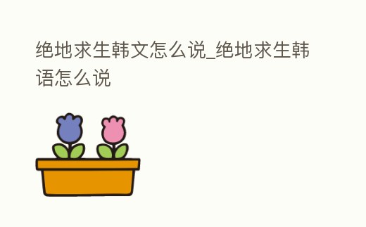 絕地求生韓文怎么說_絕地求生韓語怎么說