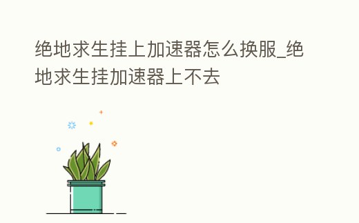 絕地求生掛上加速器怎么換服_絕地求生掛加速器上不去