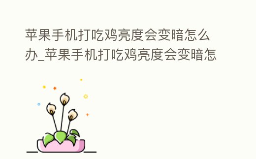 蘋(píng)果手機(jī)打吃雞亮度會(huì)變暗怎么辦_蘋(píng)果手機(jī)打吃雞亮度會(huì)變暗怎么辦呀