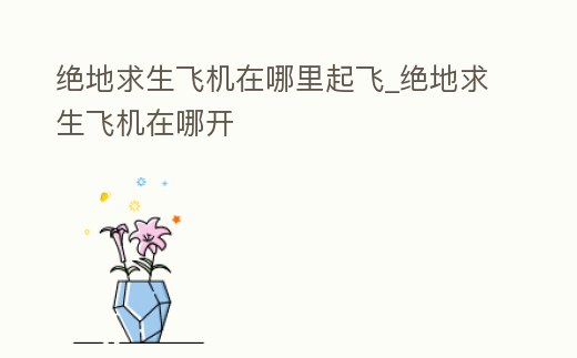 絕地求生飛機在哪里起飛_絕地求生飛機在哪開
