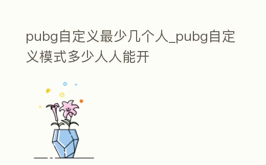 pubg自定義最少幾個人_pubg自定義模式多少人人能開