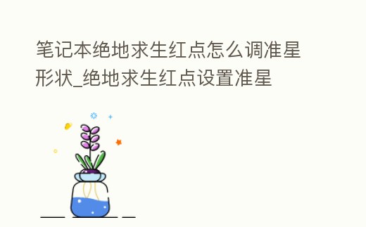 筆記本絕地求生紅點怎么調準星形狀_絕地求生紅點設置準星