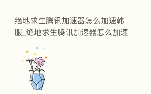 絕地求生騰訊加速器怎么加速韓服_絕地求生騰訊加速器怎么加速韓服的