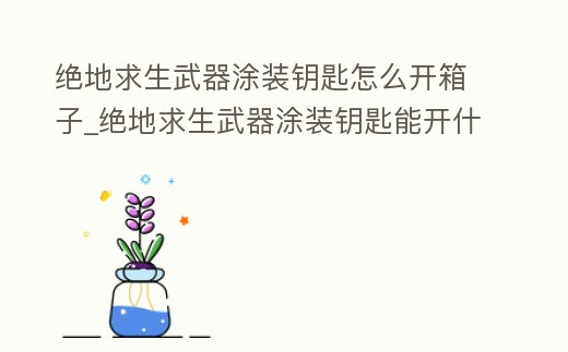 絕地求生武器涂裝鑰匙怎么開箱子_絕地求生武器涂裝鑰匙能開什么箱子