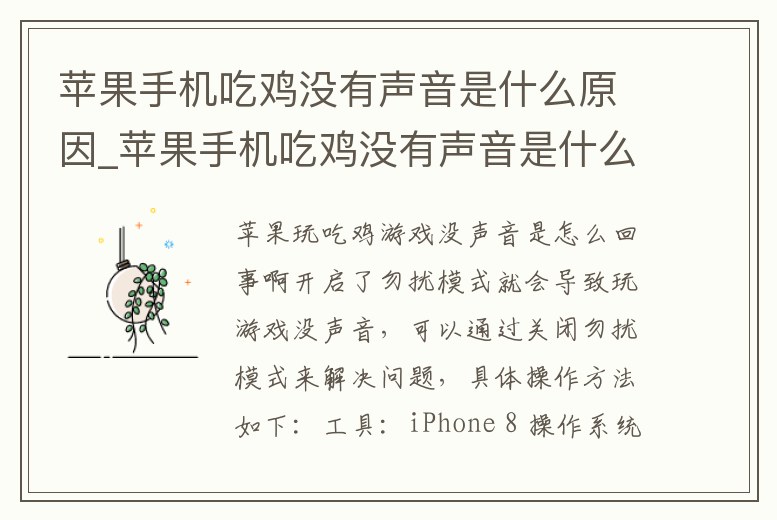蘋果手機吃雞沒有聲音是什么原因_蘋果手機吃雞沒有聲音是什么原因造成的