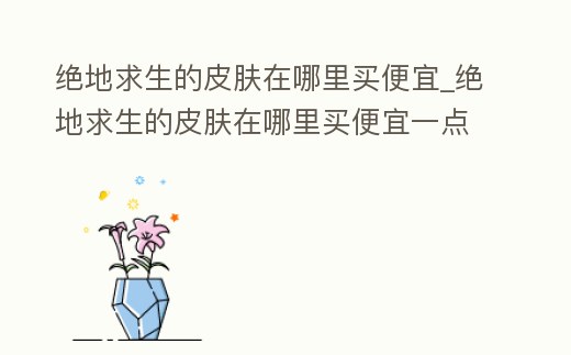 絕地求生的皮膚在哪里買便宜_絕地求生的皮膚在哪里買便宜一點