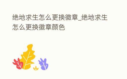 絕地求生怎么更換徽章_絕地求生怎么更換徽章顏色