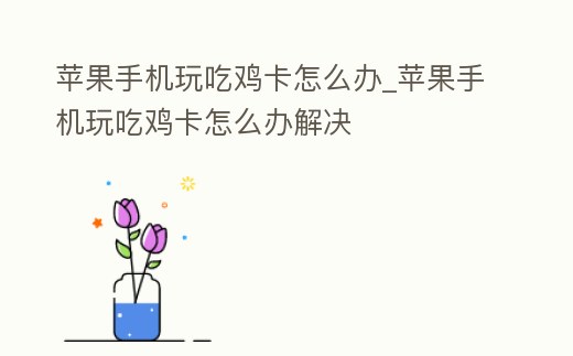 蘋果手機(jī)玩吃雞卡怎么辦_蘋果手機(jī)玩吃雞卡怎么辦解決