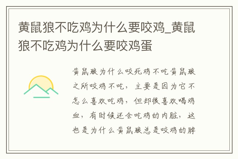 黃鼠狼不吃雞為什么要咬雞_黃鼠狼不吃雞為什么要咬雞蛋