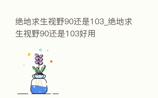 絕地求生視野90還是103_絕地求生視野90還是103好用
