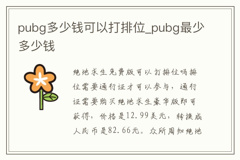 pubg多少錢可以打排位_pubg最少多少錢