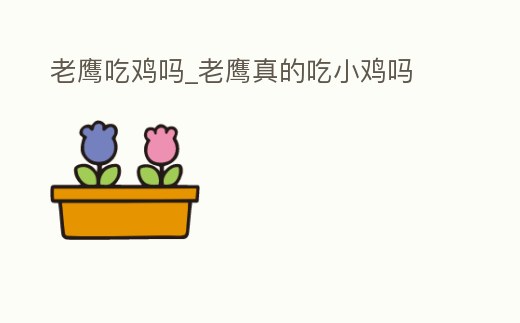 老鷹吃雞嗎_老鷹真的吃小雞嗎