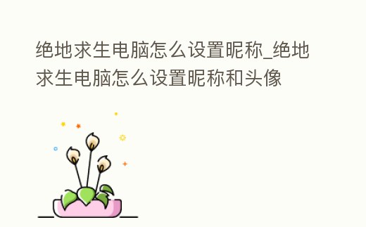 絕地求生電腦怎么設置昵稱_絕地求生電腦怎么設置昵稱和頭像